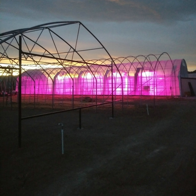 Automatic Light Deprivation Greenhouse Blackout System Greenhouse For Medical Plants