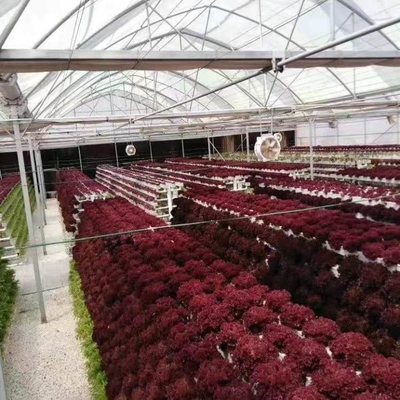 Vertical Nft Hydroponic Growing Channel Grow System For Lettuce Salad Vegetables