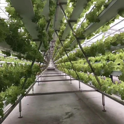 Vertical Nft Hydroponic Growing Channel Grow System For Lettuce Salad Vegetables
