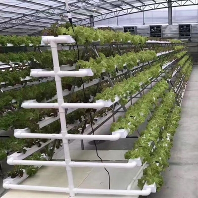 Vertical Nft Hydroponic Growing Channel Grow System For Lettuce Salad Vegetables