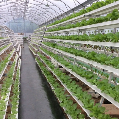 Vertical Nft Hydroponic Growing Channel Grow System For Lettuce Salad Vegetables