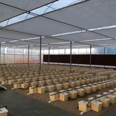 Pp Soilless Hydroponic System Medium 30x25x23cm Beige Dutch Bucket Growing Tomatoes Cucumber Zucchini