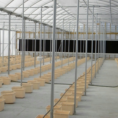 Pp Soilless Hydroponic System Medium 30x25x23cm Beige Dutch Bucket Growing Tomatoes Cucumber Zucchini