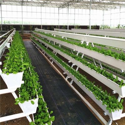 Strawberry Hydroponic Growing System Vertical Planting Cultivation PVC Gutter Indoors For Home