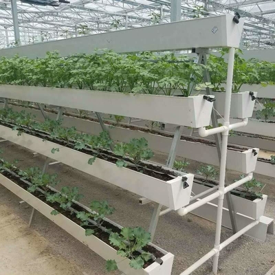 Strawberry Hydroponic Growing System Vertical Planting Cultivation PVC Gutter Indoors For Home