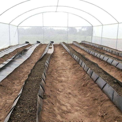 Soilless Growing System PP Growing Trough Colletcing Trough Black Growing Tomatoes Rose Cucumbers