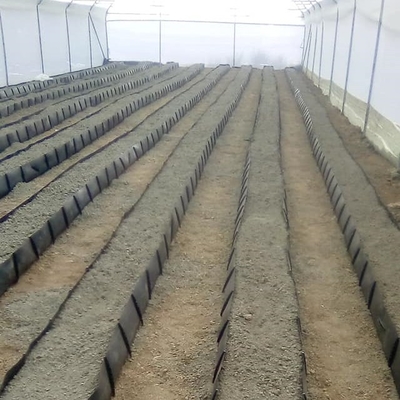 Soilless Growing System PP Growing Trough Colletcing Trough Black Growing Tomatoes Rose Cucumbers