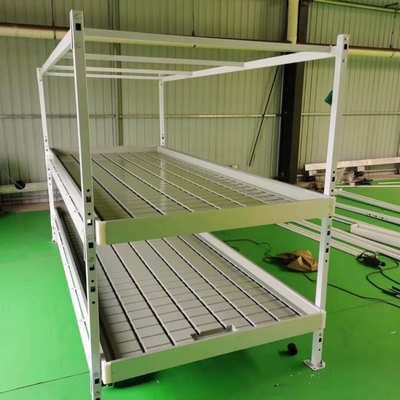 Vegetable Outdoor Indoor Plant Growing Rack 1.22x2.44m Ebb Flood Fixed Table Growing Rack For Medical Plants