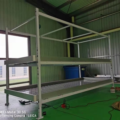 Vegetable Outdoor Indoor Plant Growing Rack 1.22x2.44m Ebb Flood Fixed Table Growing Rack For Medical Plants