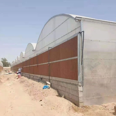 8mm 10mm Commercial Polycarbonate Greenhouse With Shading System Irrigation System