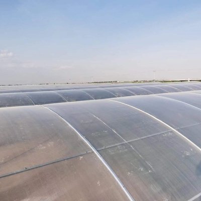 8mm 10mm Commercial Polycarbonate Greenhouse With Shading System Irrigation System