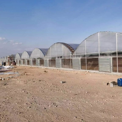 8mm 10mm Commercial Polycarbonate Greenhouse With Shading System Irrigation System