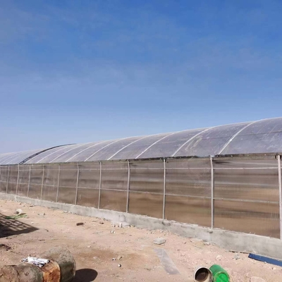 8mm 10mm Commercial Polycarbonate Greenhouse With Shading System Irrigation System