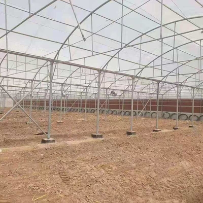 8mm 10mm Commercial Polycarbonate Greenhouse With Shading System Irrigation System