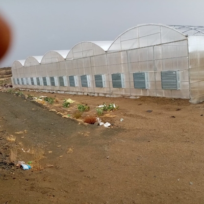 8mm 10mm Commercial Polycarbonate Greenhouse With Shading System Irrigation System