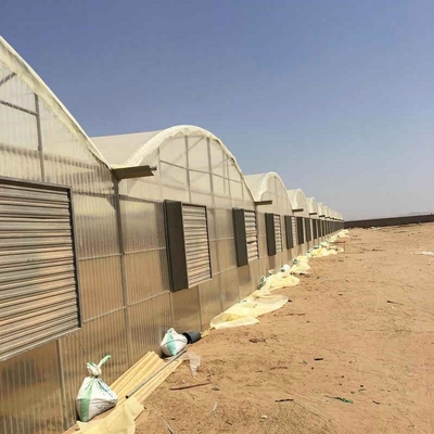 10 X 6 10 X 20 10 X 12  10' X 10 Clear Polycarbonate Greenhouse Wave Sheet Yellow Film Growing Lettuce Leaf Vegetable