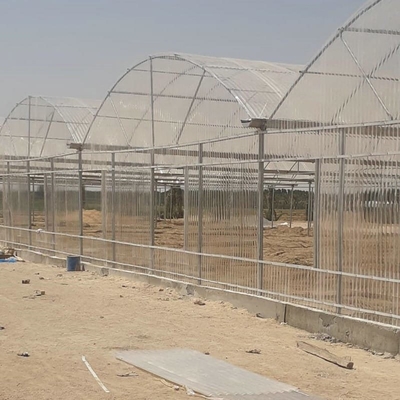 10 X 6 10 X 20 10 X 12  10' X 10 Clear Polycarbonate Greenhouse Wave Sheet Yellow Film Growing Lettuce Leaf Vegetable