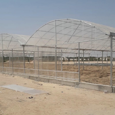10 X 6 10 X 20 10 X 12  10' X 10 Clear Polycarbonate Greenhouse Wave Sheet Yellow Film Growing Lettuce Leaf Vegetable