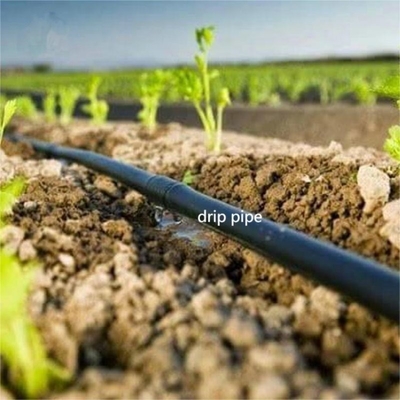 30cm 40cm 50cm Spacing PE Drip Pipe Irrigation For Vegetable Fruits Flower Fertigation Irrigation System