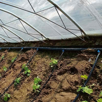 30cm 40cm 50cm Spacing PE Drip Pipe Irrigation For Vegetable Fruits Flower Fertigation Irrigation System