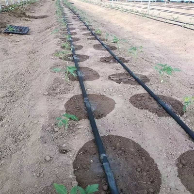 Watering&irrigation System Farm Garden Agriculture diameter 16mm Pipe Hose Drip Irrigation Tape drip tape