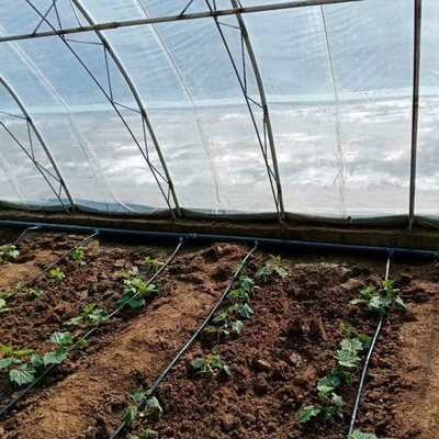 Diameter 16mm PE Drip Tape  Drip Irrigation For Greenhouse Farm Irrigation Fertigation System