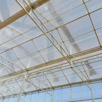 Modern venlo hot dip galvanized steel pipe polycarbonate greenhouse structure Multi-Span Commercial pc sheet green house cooling system