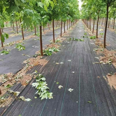 Black Grass Barrier Landscape Ground Fabric Ground Cover Mesh Weed Mat Anti Grass Control Cloth