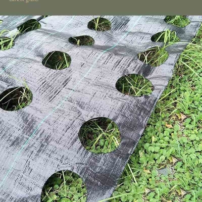Black Grass Barrier Landscape Ground Fabric Ground Cover Mesh Weed Mat Anti Grass Control Cloth