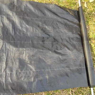 Black Grass Barrier Landscape Ground Fabric Ground Cover Mesh Weed Mat Anti Grass Control Cloth