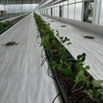White Woven Cloth Ground Cover Net Weed Control Fabric Anti Grass Cloth Agriculture Use