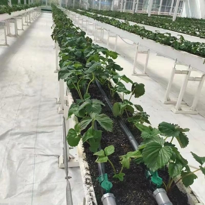 White Woven Cloth Ground Cover Net Weed Control Fabric Anti Grass Cloth Agriculture Use