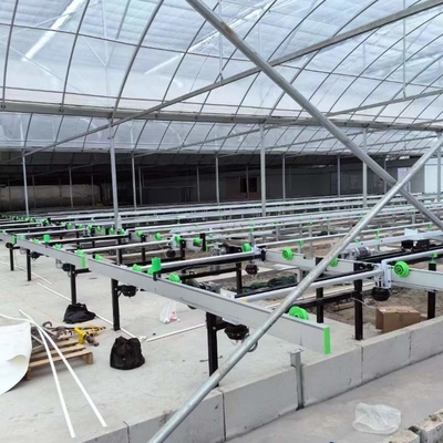 Growing System Rolling Greenhouse Tables Adjustable Shuttle Bench System Agriculture Movable Bench