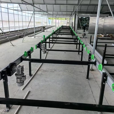 Growing System Rolling Greenhouse Tables Adjustable Shuttle Bench System Agriculture Movable Bench