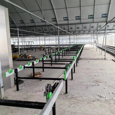 Growing System Rolling Greenhouse Tables Adjustable Shuttle Bench System Agriculture Movable Bench