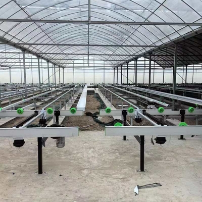 Growing System Rolling Greenhouse Tables Adjustable Shuttle Bench System Agriculture Movable Bench