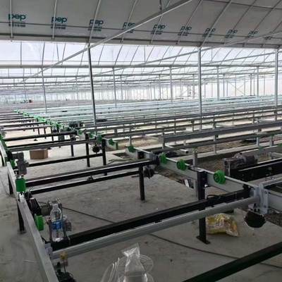 Growing System Rolling Greenhouse Tables Adjustable Shuttle Bench System Agriculture Movable Bench