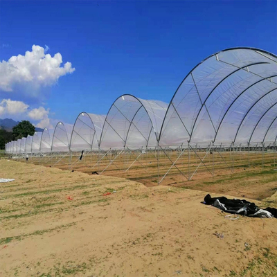 Blueberry Strawberry Flower Low Cost Farming Tunnel Agricultural Greenhouses Rain Shelter