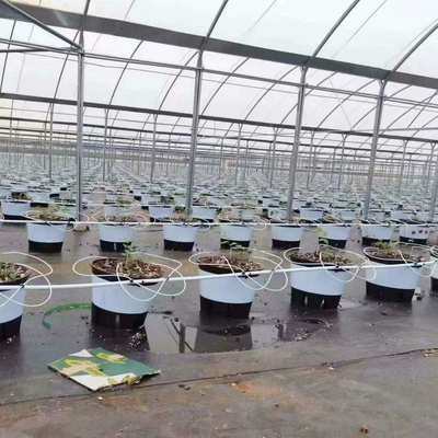 Good Quality Poly Tunnel Green House Low Cost Hot Sale Polytunnel Berry Greenhouse