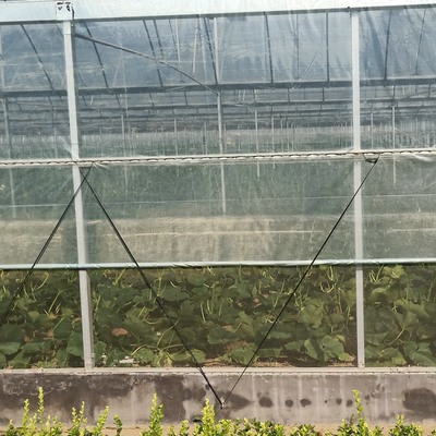 Multi-Span Greenhouse Kits Plastic Film Hydroponics Greenhouse For Sale