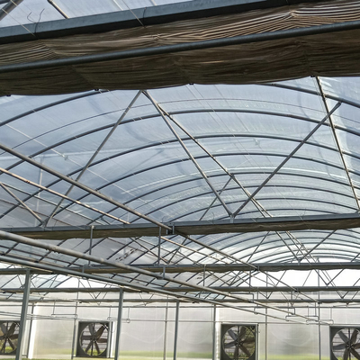 Cheap Custom Arch  Green House Plastic Film Multi Span Agriculture Greenhouse For Vegetable