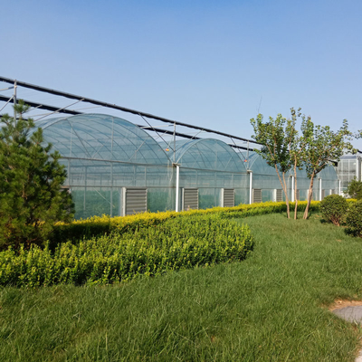Cheap Custom Arch  Green House Plastic Film Multi Span Agriculture Greenhouse For Vegetable