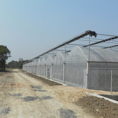 Multi-Span Greenhouse Kits Plastic Film Hydroponics Greenhouse For Sale