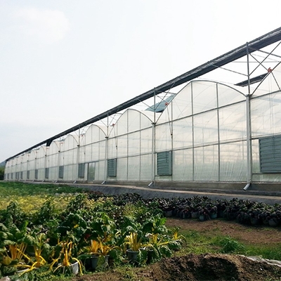 Cheap Custom Arch  Green House Plastic Film Multi Span Agriculture Greenhouse For Vegetable