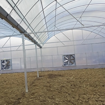 Hydroponic Growing System Green House Multi Span Agriculture Greenhouses Growing Lettuce Cucumber