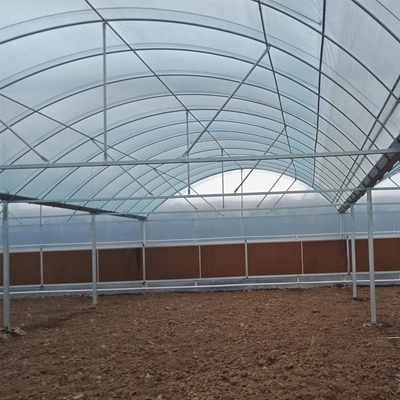 Multi Span Film Greenhouse Structure Commercial Frames Large Plants Growing