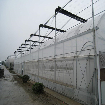 Multi Span Film Greenhouse Structure Commercial Frames Large Plants Growing