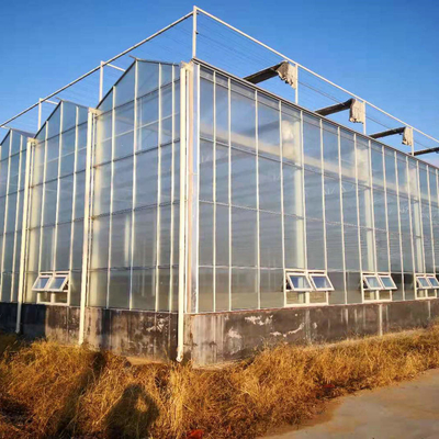 Modern venlo hot dip galvanized steel pipe polycarbonate greenhouse structure Multi-Span Commercial pc sheet green house cooling system