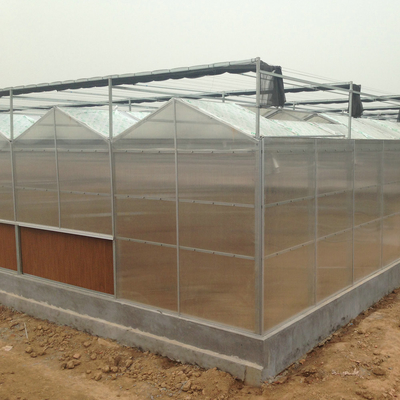 Modern venlo hot dip galvanized steel pipe polycarbonate greenhouse structure Multi-Span Commercial pc sheet green house cooling system