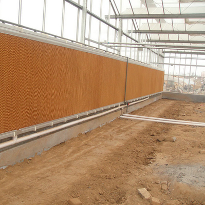 Modern venlo hot dip galvanized steel pipe polycarbonate greenhouse structure Multi-Span Commercial pc sheet green house cooling system